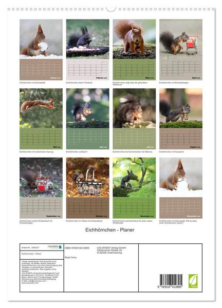 Produktbild: Eichh&ouml;rnchen - Planer (hochwertiger Premium Wandkalender 2026 DIN A2 hoch), Kunstdruck in Hochglanz