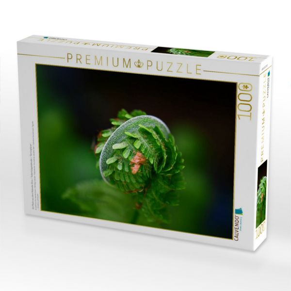 Produktbild: CALVENDO Puzzle Ein Motiv aus dem Kalender Gr&uuml;n / Geburtstagskalender / Terminplaner | 1000 Teile Lege-Gr&ouml;&szlig;e 64x48cm Foto-Puzzle f&uuml;r gl&uuml;ckliche Stunde