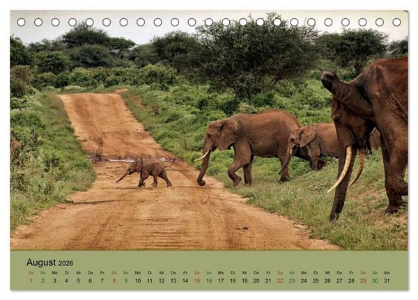 Produktbild: Safari Impressionen / Kenia (Tischkalender 2026 DIN A5 quer), CALVENDO Monatskalender