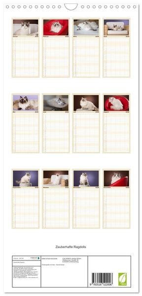 Produktbild: Familienplaner 2026 - Zauberhafte Ragdolls mit 5 Spalten (Wandkalender, 21 x 45 cm) CALVENDO
