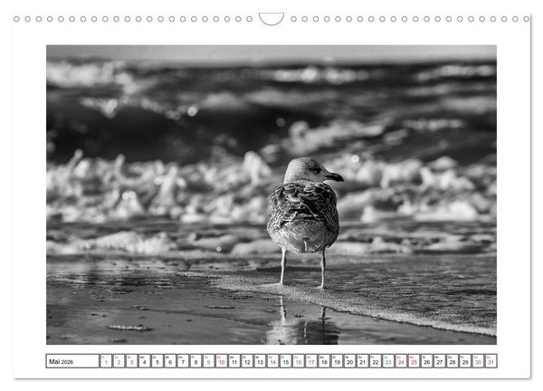 Produktbild: Am Strand von St. Peter-Ording SCHWARZ-WEISS (Wandkalender 2026 DIN A3 quer), CALVENDO Monatskalender