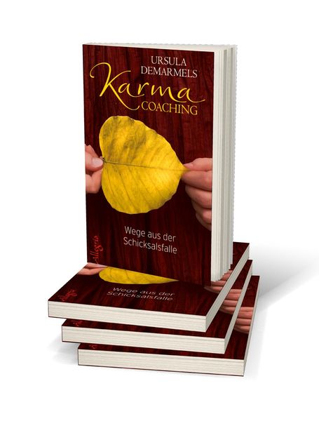 Produktbild: Karma-Coaching