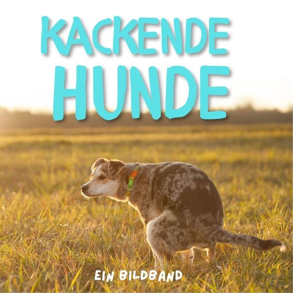 Produktbild: Kackende Hunde