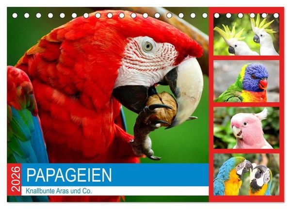 Produktbild: Papageien. Knallbunte Aras und Co. (Tischkalender 2026 DIN A5 quer), CALVENDO Monatskalender