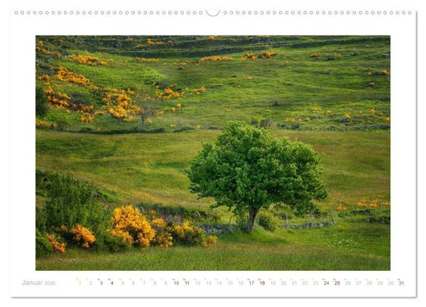 Produktbild: Streifzug durch die Provence (Wandkalender 2026 DIN A2 quer), CALVENDO Monatskalender