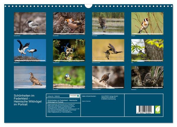 Produktbild: Sch&ouml;nheiten im Federkleid - Heimische Wildv&ouml;gel im Portrait (Wandkalender 2026 DIN A3 quer), CALVENDO Monatskalender