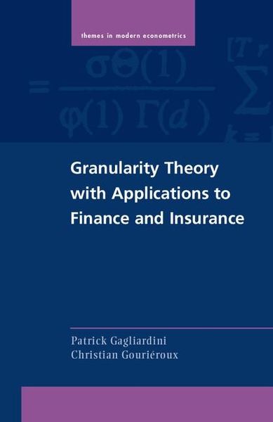 Produktbild: Granularity Theory with Applications to Finance and Insurance