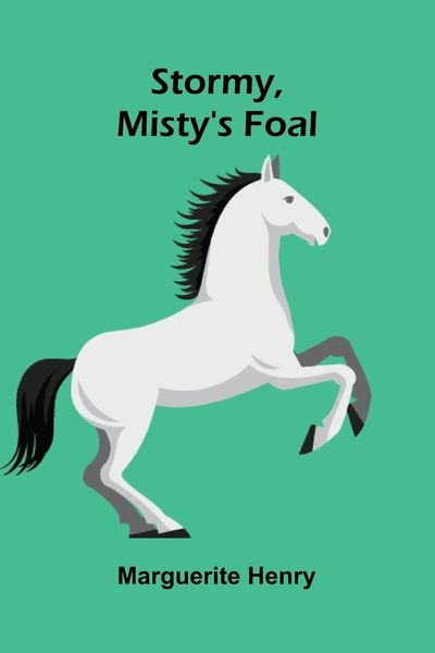 Produktbild: Stormy, Misty's Foal