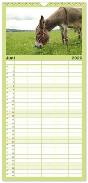 Produktbild: Familienplaner 2026 - Esel - liebenswerte Langohren mit 5 Spalten (Wandkalender, 21 x 45 cm) CALVENDO