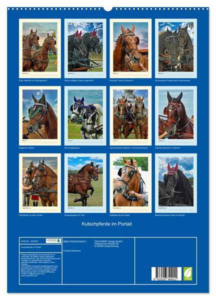 Produktbild: Kutschpferde im Portait (hochwertiger Premium Wandkalender 2026 DIN A2 hoch), Kunstdruck in Hochglanz
