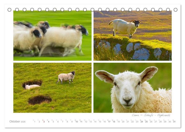 Produktbild: Sehnsucht Schottland (Tischkalender 2026 DIN A5 quer), CALVENDO Monatskalender