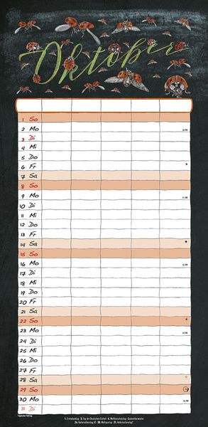 Kreidetafel Familienplaner 2023 - Familienkalender 22x45 cm - 5 Spalten - Kalender mit Ferienterminen und vielen Zusatzinformationen - Wandkalender