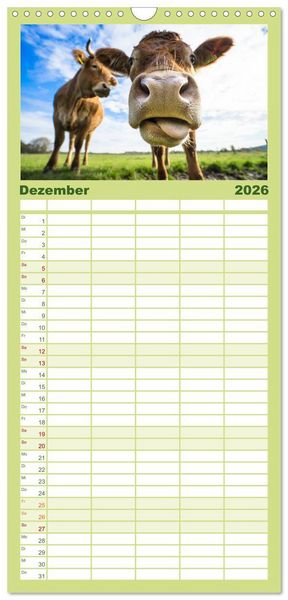 Produktbild: Familienplaner 2026 - Kuhckst du? mit 5 Spalten (Wandkalender, 21 x 45 cm) CALVENDO