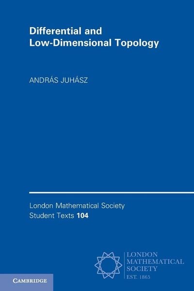 Produktbild: Differential and Low-Dimensional Topology