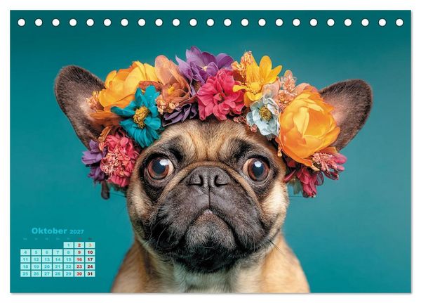 Produktbild: Der wahrscheinlich frechste Mops-Serie der Welt (Tischkalender 2027 DIN A5 quer), CALVENDO Monatskalender