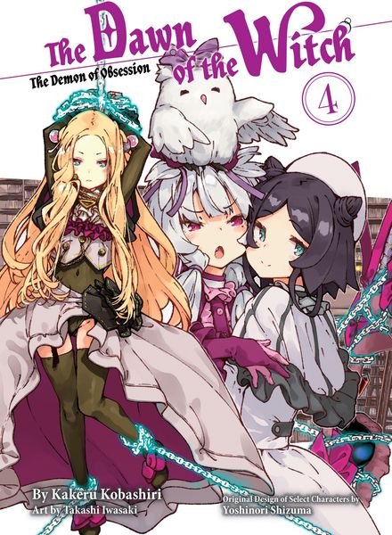 Produktbild: The Dawn of the Witch 4 (Light Novel)