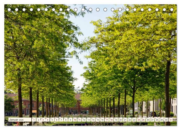 Produktbild: So sch&ouml;n ist Landau (Tischkalender 2026 DIN A5 quer), CALVENDO Monatskalender