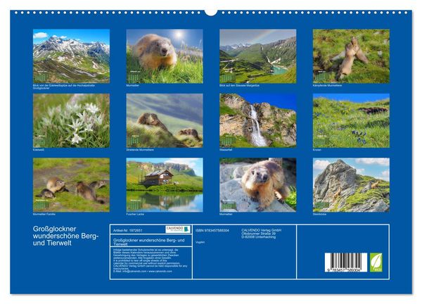 Produktbild: Gro&szlig;glockner wundersch&ouml;ne Berg- und Tierwelt (hochwertiger Premium Wandkalender 2026 DIN A2 quer), Kunstdruck in Hochglanz