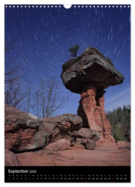 Produktbild: NATURWUNDER PF&Auml;LZERWALD (Wandkalender 2026 DIN A3 hoch), CALVENDO Monatskalender