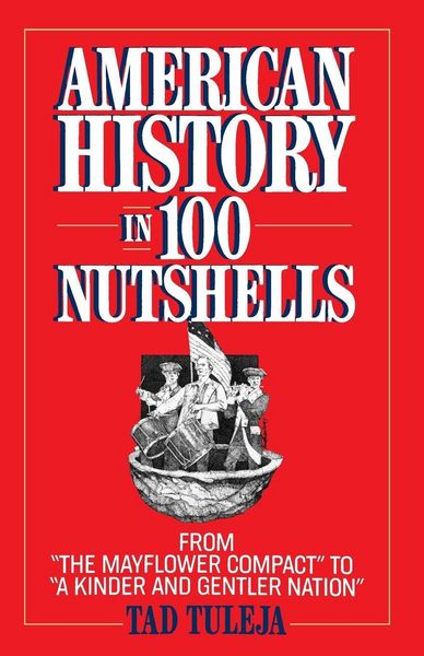 Produktbild: American History in 100 Nutshells