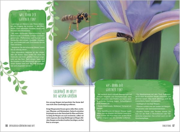 Produktbild: MDR Garten - Erfolgreich G&auml;rtnern ohne Gift