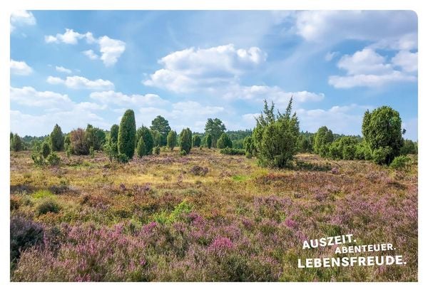 Produktbild: 52 kleine & gro&szlig;e Eskapaden in der L&uuml;neburger Heide