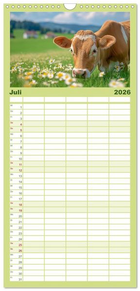 Produktbild: Familienplaner 2026 - K&Uuml;HE AUF DER ALM &ndash; Der Kalender aus Bayern mit 5 Spalten (Wandkalender, 21 x 45 cm) CALVENDO