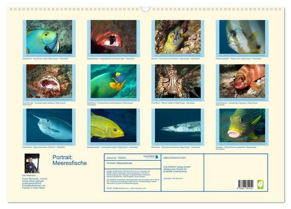 Produktbild: Portrait: Meeresfische (Wandkalender 2026 DIN A2 quer), CALVENDO Monatskalender