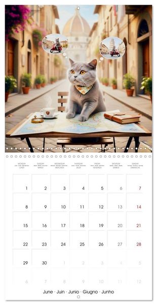 Produktbild: Le duc gris en voyage (Calendrier mural carr&eacute; 2026 30x30 cm) Calendrier double avec une page pour vos prises de notes