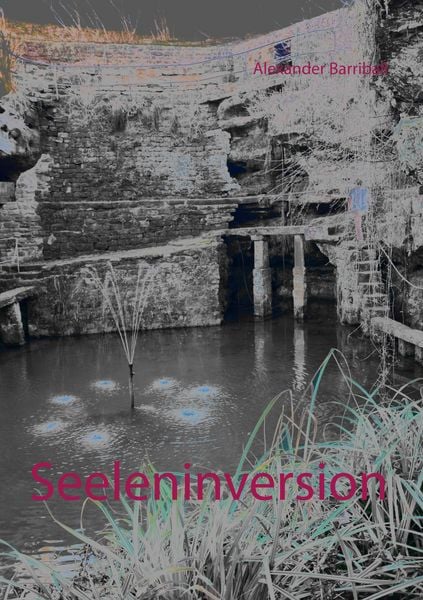 Seeleninversion, Taschenbuch von Alexander Barriball, BoD – Books on Demand, 9783752832181