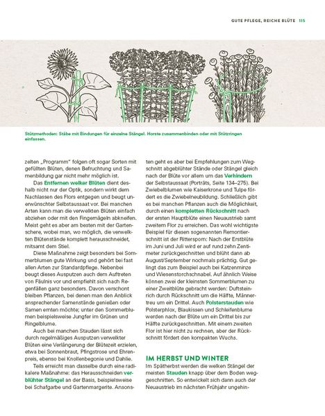 Produktbild: Das gro&szlig;e Buch der Stauden und Sommerblumen