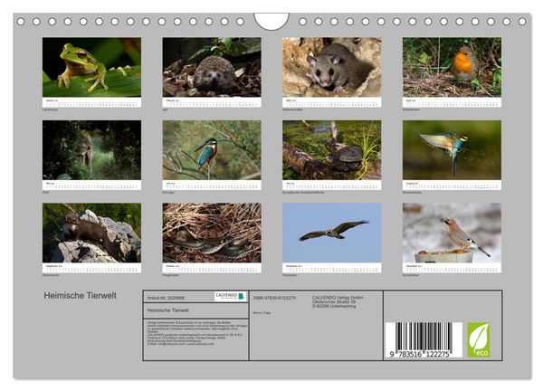 Produktbild: Heimische Tierwelt (Wandkalender 2026 DIN A4 quer), CALVENDO Monatskalender