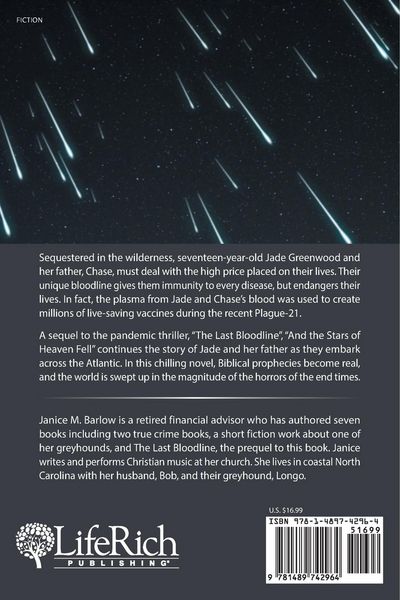 Produktbild: And the Stars of Heaven Fell