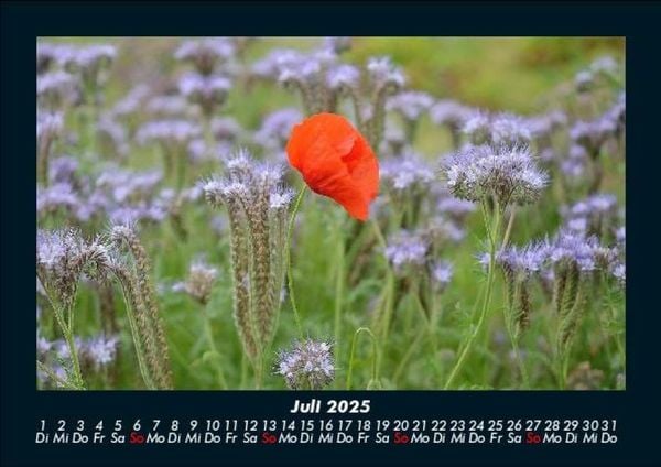 Produktbild: Blumentr&auml;ume 2025 Fotokalender DIN A5