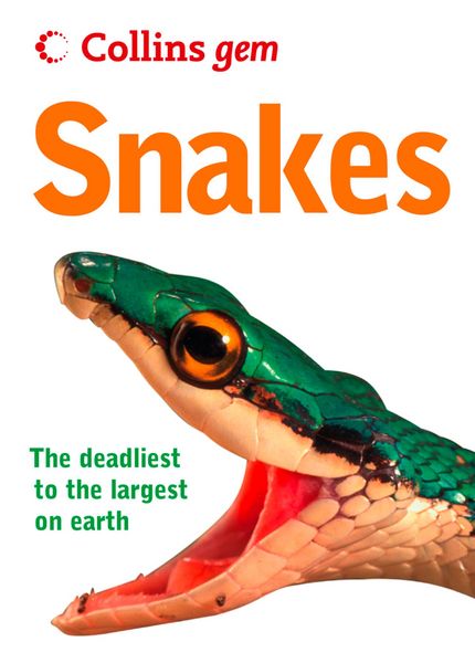 Produktbild: Snakes