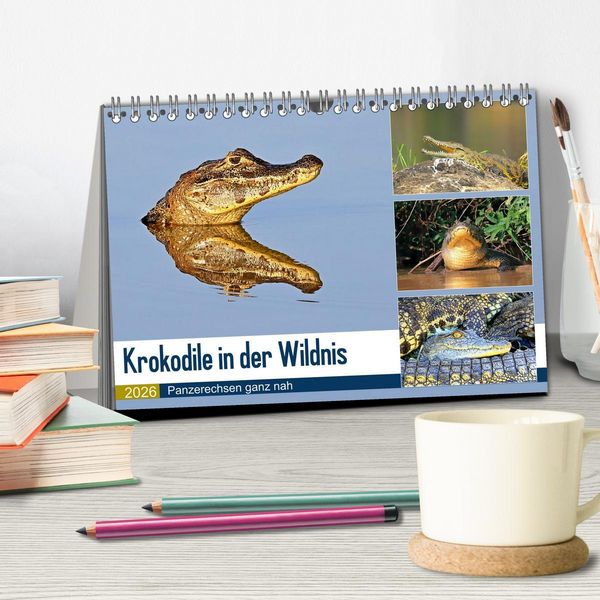 Produktbild: Krokodile in der Wildnis (Tischkalender 2026 DIN A5 quer), CALVENDO Monatskalender