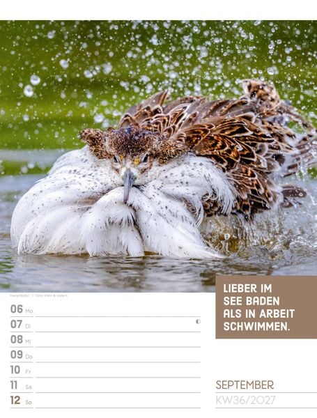 Produktbild: Tierisch Spr&uuml;chekalender Wochenplaner 2027