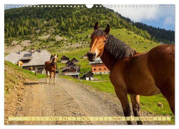 Produktbild: Die Feistritzer Alm - Wandern in den K&auml;rntner Bergen (Wandkalender 2026 DIN A3 quer), CALVENDO Monatskalender