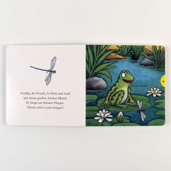 Produktbild: Freddy, der Frosch