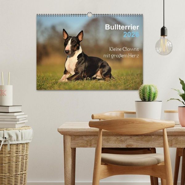 Produktbild: Bullterrier 2026 - Kleine Clowns mit gro&szlig;em Herz (Wandkalender 2026 DIN A3 quer), CALVENDO Monatskalender