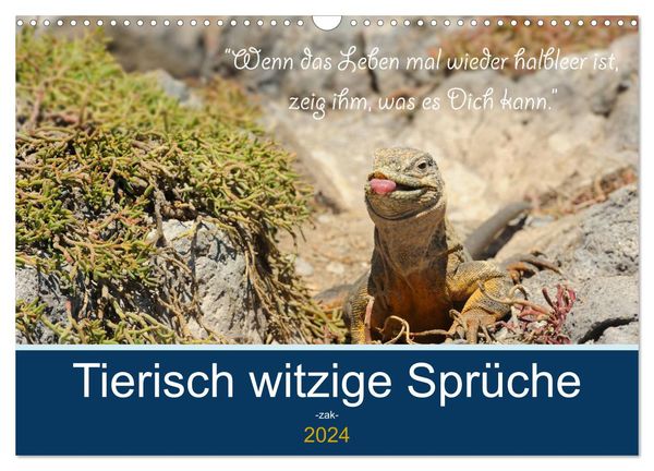 'Sind Tiere die weiseren Menschen? Tierisch witzige Sprüche
