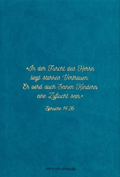 Produktbild: Biblische Erziehung