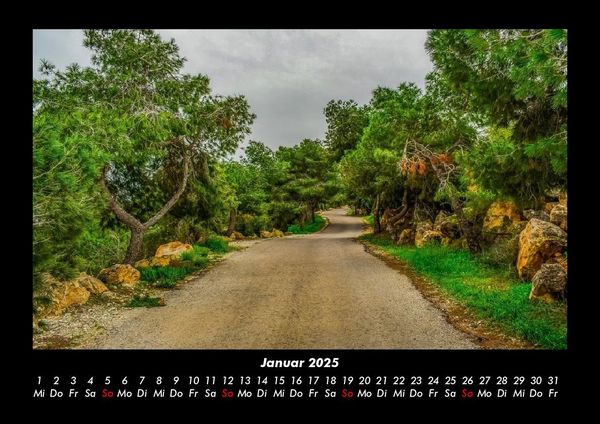 Produktbild: B&auml;ume 2025 Fotokalender DIN A3