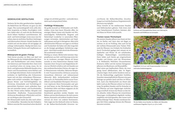 So wird der Garten fit fürs Klima