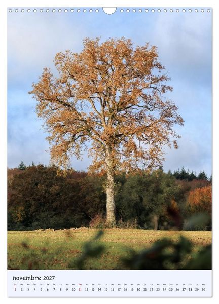 Produktbild: Arbres solitaires (Calendrier mural 2027 DIN A3 horizontal), CALVENDO calendrier mensuel