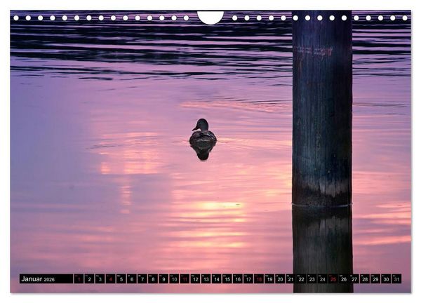 Produktbild: Mecklenburgische Seenplatte - zum Tr&auml;umen sch&ouml;n (Wandkalender 2026 DIN A4 quer), CALVENDO Monatskalender