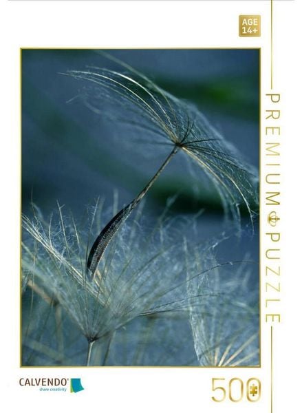 CALVENDO Puzzle Wiesenbocksbart | 500 Teile Lege-Größe 48 × 36 cm Foto-Puzzle für Erwachsene