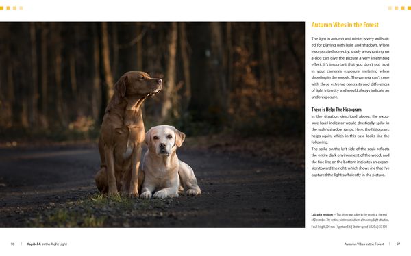 Produktbild: Dog Photography - Shooting with Bow "Wow" Effect