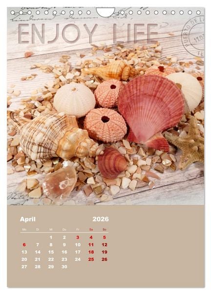 Produktbild: Geschenke vom Meer (Wandkalender 2026 DIN A4 hoch), CALVENDO Monatskalender