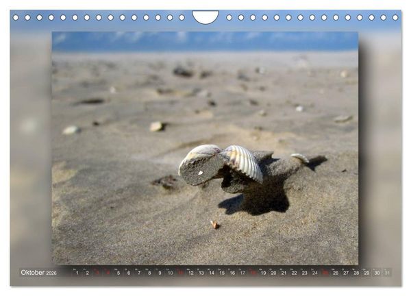 Produktbild: Baltrum - Ein Tag am Strand (Wandkalender 2026 DIN A4 quer), CALVENDO Monatskalender